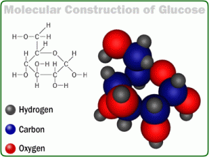 latestfitnessgadgets-glucose-structure